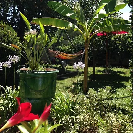 Villa L'oustau Du Comtat *