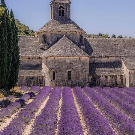 L'oustau Du Comtat Villa *