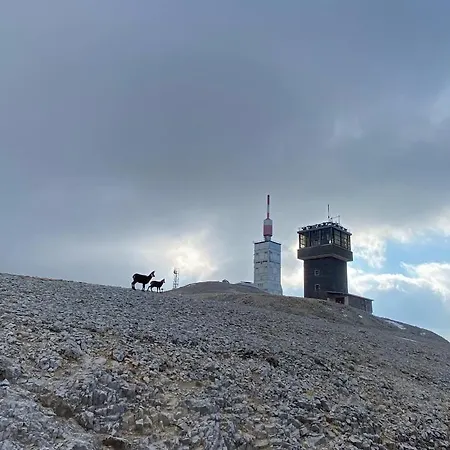 L'oustau Du Comtat *